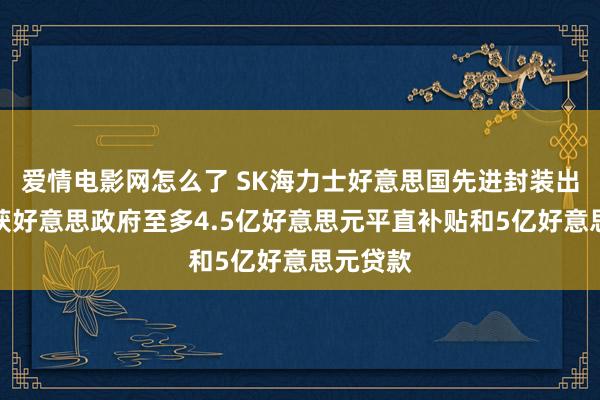 爱情电影网怎么了 SK海力士好意思国先进封装出产基地获好意思政府至多4.5亿好意思元平直补贴和5亿好意思元贷款