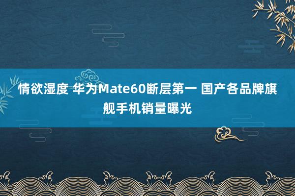 情欲湿度 华为Mate60断层第一 国产各品牌旗舰手机销量曝光