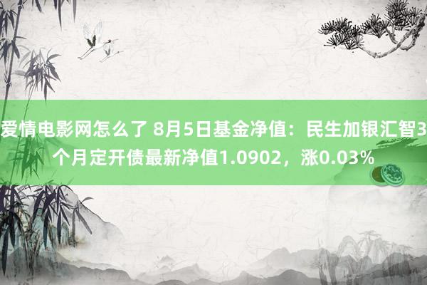 爱情电影网怎么了 8月5日基金净值：民生加银汇智3个月定开债最新净值1.0902，涨0.03%