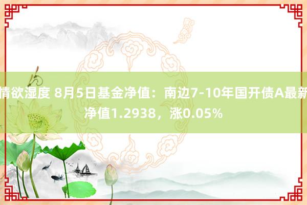 情欲湿度 8月5日基金净值：南边7-10年国开债A最新净值1.2938，涨0.05%