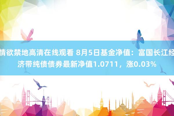 情欲禁地高清在线观看 8月5日基金净值：富国长江经济带纯债债券最新净值1.0711，涨0.03%