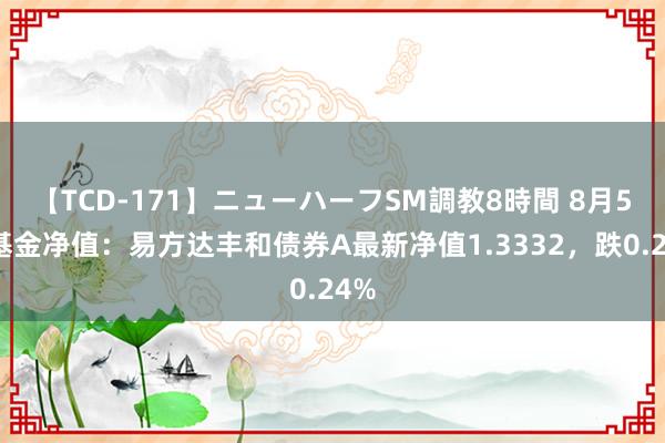 【TCD-171】ニューハーフSM調教8時間 8月5日基金净值：易方达丰和债券A最新净值1.3332，跌0.24%