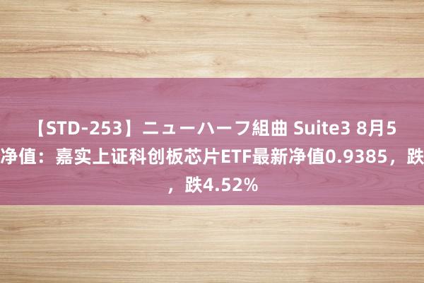 【STD-253】ニューハーフ組曲 Suite3 8月5日基金净值：嘉实上证科创板芯片ETF最新净值0.9385，跌4.52%