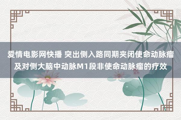 爱情电影网快播 突出侧入路同期夹闭使命动脉瘤及对侧大脑中动脉M1段非使命动脉瘤的疗效