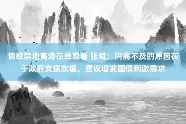 情欲禁地高清在线观看 张斌：内需不及的原因在于政府支拨放缓，建议增发国债刺激需求