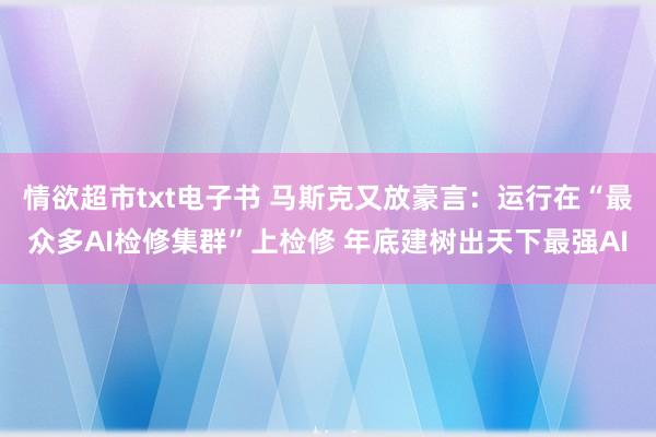 情欲超市txt电子书 马斯克又放豪言：运行在“最众多AI检修集群”上检修 年底建树出天下最强AI