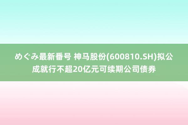 めぐみ最新番号 神马股份(600810.SH)拟公成就行不超20亿元可续期公司债券