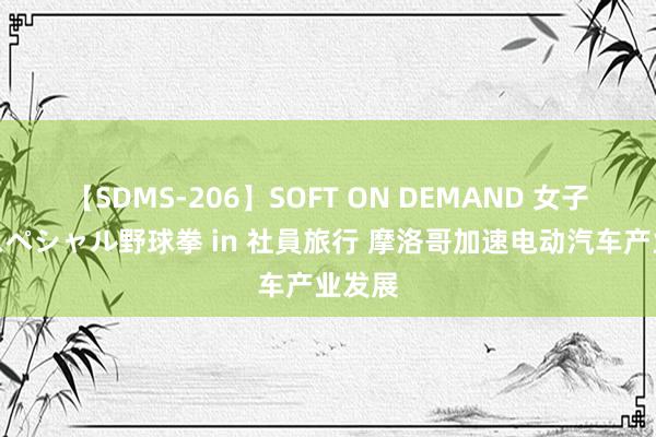 【SDMS-206】SOFT ON DEMAND 女子社員スペシャル野球拳 in 社員旅行 摩洛哥加速电动汽车产业发展