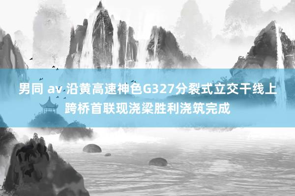 男同 av 沿黄高速神色G327分裂式立交干线上跨桥首联现浇梁胜利浇筑完成