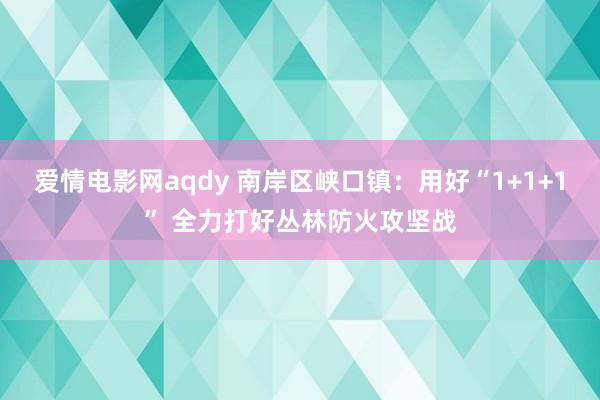 爱情电影网aqdy 南岸区峡口镇：用好“1+1+1” 全力打好丛林防火攻坚战