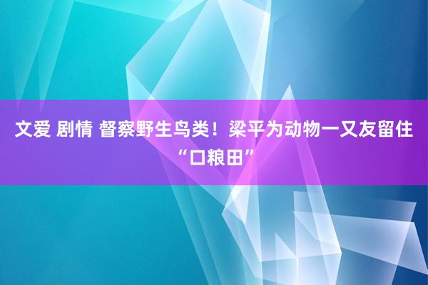 文爱 剧情 督察野生鸟类！梁平为动物一又友留住“口粮田”