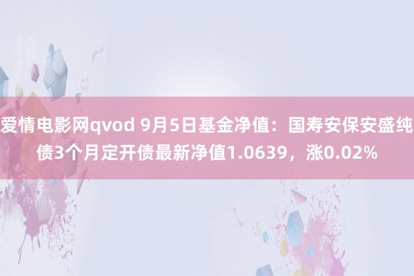 爱情电影网qvod 9月5日基金净值：国寿安保安盛纯债3个月定开债最新净值1.0639，涨0.02%