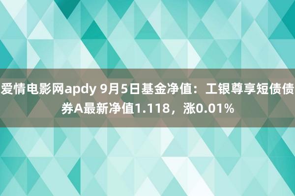 爱情电影网apdy 9月5日基金净值：工银尊享短债债券A最新净值1.118，涨0.01%