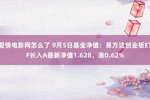 爱情电影网怎么了 9月5日基金净值：易方达创业板ETF长入A最新净值1.628，涨0.62%