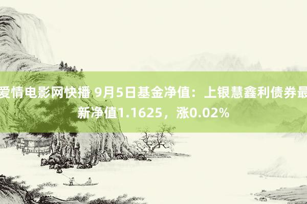 爱情电影网快播 9月5日基金净值：上银慧鑫利债券最新净值1.1625，涨0.02%