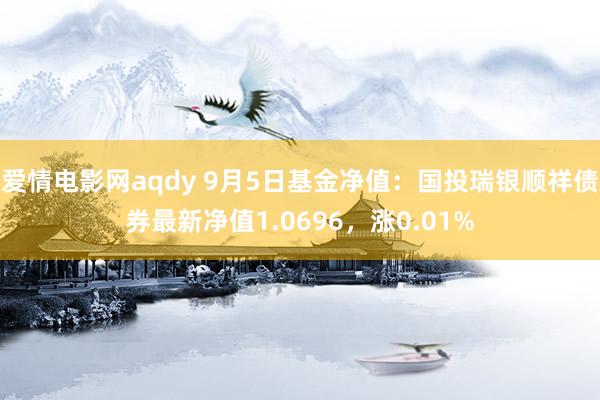 爱情电影网aqdy 9月5日基金净值：国投瑞银顺祥债券最新净值1.0696，涨0.01%