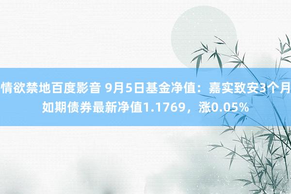 情欲禁地百度影音 9月5日基金净值：嘉实致安3个月如期债券最新净值1.1769，涨0.05%