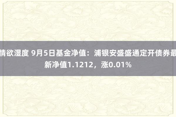 情欲湿度 9月5日基金净值：浦银安盛盛通定开债券最新净值1.1212，涨0.01%