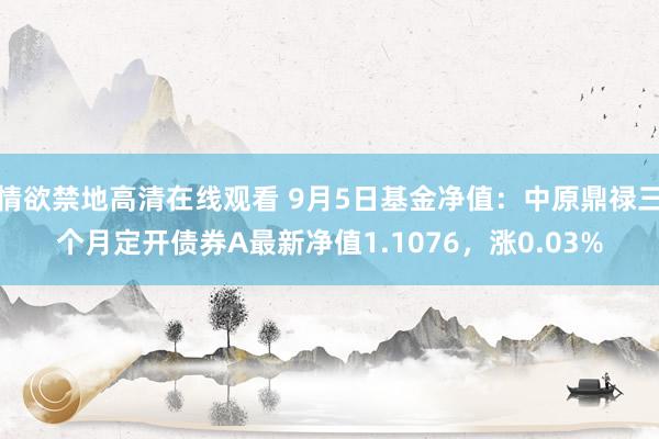 情欲禁地高清在线观看 9月5日基金净值：中原鼎禄三个月定开债券A最新净值1.1076，涨0.03%