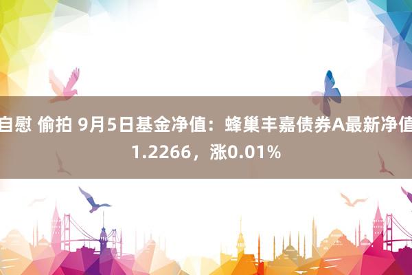 自慰 偷拍 9月5日基金净值：蜂巢丰嘉债券A最新净值1.2266，涨0.01%