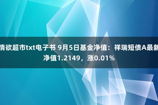 情欲超市txt电子书 9月5日基金净值：祥瑞短债A最新净值1.2149，涨0.01%