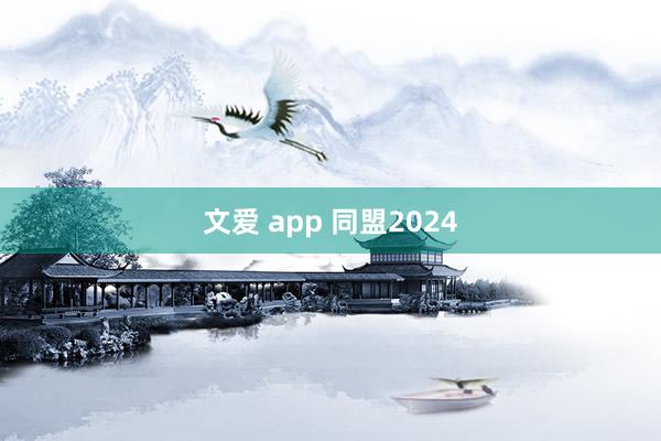 文爱 app 同盟2024