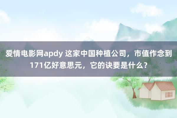 爱情电影网apdy 这家中国种植公司，市值作念到171亿好意思元，它的诀要是什么？