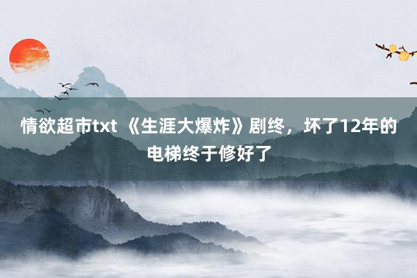 情欲超市txt 《生涯大爆炸》剧终，坏了12年的电梯终于修好了